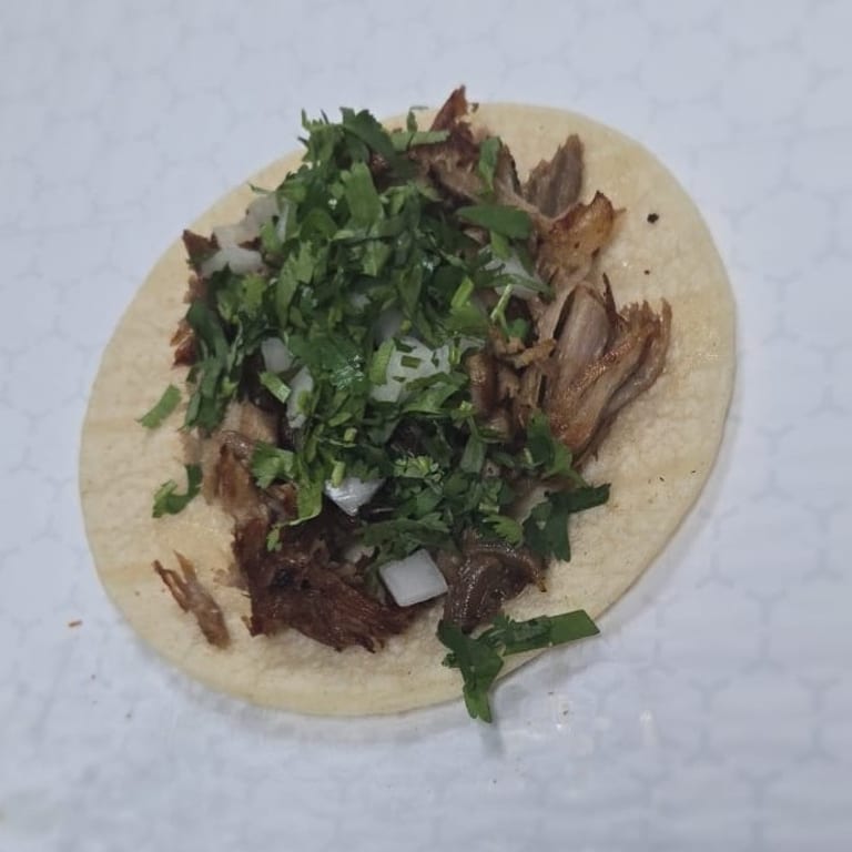 Delicious Carnitas Await You